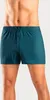 H.I.S. Weiter Boxer Herren Boxer 5 -teilig hellblau, Produktbild-Vorschau 2