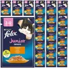 Felix Fantastic Junior Karma Dla Kociąt Kurczak W Galaretce Podgląd zdjęcia produktu 1