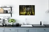 MuchoWow® Poster Baum - Natur - Sonne - Wald 60x40 cm - Produktbild-Vorschau 3