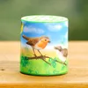 Tierstimmen Geräuschdose - Vogel - Vögel Dose Produktbild-Vorschau 4