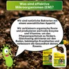 Greenyp Neutralizer I Urin neutralisieren dank Effektive Produktbild-Vorschau 8