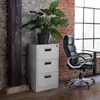Uzamykatelná kartotéka 62,4 x 46 x 102,8 cm Náhled obrázku produktu 9