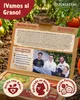 ZenGreens® Semillas Eco de Tomate – Set 20 Variedades de Vista previa de la imagen del producto 5
