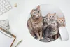 MuchoWow® Mauspad Mousepad Katze - Kätzchen - Fell 30x30 cm Produktbild-Vorschau 5