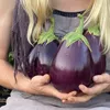 Aubergine Samen Schwarze Schönheit Lila Birne Der Liebe 1G Produktbild-Vorschau 21