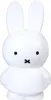 Atelier Pierre Miffy Spardose Pur Produktbild-Vorschau 1