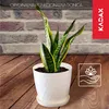 KADAX Blumentopf aus Kunstsoff "Amily", Topf mit Produktbild-Vorschau 3
