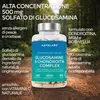 Aavalabs Glucosamina Condroitina MSM | Boswellia | Anteprima dell’immagine prodotto 7