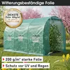 BRAST Gewächshaus Foliengewächshaus mit Stahlfundament | Produktbild-Vorschau 2
