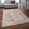 A living room scene with a sofa, rug, and cabinet. Anteprima dell’immagine prodotto