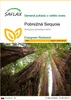 SAFLAX - Pobrežná Sequoia - Sequoia sempervirens - 50 Náhľad obrázku produktu 1