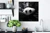 MuchoWow® Poster Tiere - Dschungel - Panda - Schwarz - Weiß Produktbild-Vorschau 3