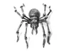 EUROPALMS Monsterspider ca.130cm Produktbild-Vorschau 1
