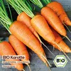 Samenliebe  Karotte Samen | Chantenay - winterhart & orange Produktbild-Vorschau 4