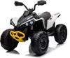 FINOOS Kinderquad Kinder Elektro-Quad, CAM-AM RENEGADE 24V Produktbild-Vorschau 1