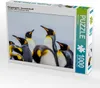 Calvendo Königspinguine - Zusammenkunft 1000 Teile Puzzle Produktbild-Vorschau 1