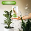 Nature's Finest Biologisch Sibirisches Ginseng Pulver - Produktbild-Vorschau 3