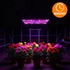 LED Pflanzenlampe 1000W Vollspektrum Panel, 225 LEDs Grow Produktbild-Vorschau 8