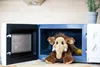 Habibi Plush Classic Wärmetier Mammut Kuscheltier Produktbild-Vorschau 10
