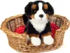 Teddy-Hermann Teddy Hermann Berneński Pies Gończy siedzący, Podgląd zdjęcia produktu 3