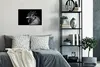 MuchoWow® MuchoWow® Gerahmtes Poster Hahn - Vogel - Schwarz Produktbild-Vorschau 6
