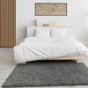 Prime Shaggy Hochflor Langflor Teppich Einfarbig Modern Produktbild-Vorschau 2