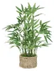 Bambou artificiel en pot, 46 cm Voir les images du produit 1