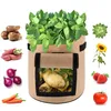 2 Stück Pflanztasche Kartoffel Tomaten Erdnüsse Gemüse Produktbild-Vorschau 2