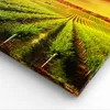 Bild auf Leinwand - Leinwandbild - Land Weingut Pflanzung - Produktbild-Vorschau 5