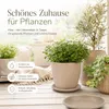 Sottovaso per piante Mira Taupe Ø 24 cm - Resistente al Anteprima dell’immagine prodotto 4