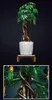 A Lego-like money tree in a pot on a stand, with a close-up inset of the leaves and trunk. Produktbild-Vorschau