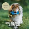 RUDELKÖNIG Dummy d'entraînement bleu – Sac de rapport Voir les images du produit 5