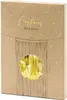 The image shows the packaging of a gold tinsel curtain backdrop. Produktbild-Vorschau
