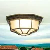 A close-up of an outdoor ceiling light fixture mounted on a white ceiling, with a scenic landscape visible in the background. Produktbild-Vorschau