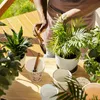 Chinchilla Blumentopf mit Spruch Wie schön dass es dich Produktbild-Vorschau 4