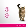 Perfect Fit Adult 52x85g Feuchtfutter Für Katzen Mit Produktbild-Vorschau 3