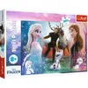 Pz.Disney Frozen 300T Náhled obrázku produktu 1