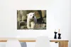 MuchoWow® Poster Eisbär - Jungtier - Steine 90x60 cm - Produktbild-Vorschau 5