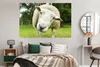 MuchoWow® Poster Schaf - Lustig - Wiese - Kinder - Jungen - Produktbild-Vorschau 4