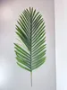 Deko-dadelpalmblad, 84 cm – Natuurgetrouw en flexibel Productafbeelding-voorbeeld 7