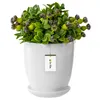 Blumentopf Blumenübertopf Weiss Blumenschale mit Produktbild-Vorschau 1