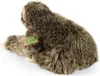 Bradipo di peluche ECO-FRIENDLY 30 cm (8590687220836) Anteprima dell’immagine prodotto 11