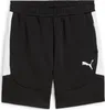 Puma Teamevostripe Sweatshorts Herren - Schwarz Produktbild-Vorschau 1