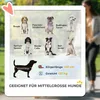 PawHut, psí vozík, psí kočík, skladací, pre stredné psy a Náhľad obrázku produktu 4