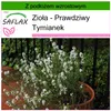SAFLAX - Zioła - Prawdziwy Tymianek - 200 Nasiona - Z Podgląd zdjęcia produktu 5
