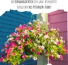 Blumensamen Balkonkasten Mischung - Farbenfrohe Blumen mit Produktbild-Vorschau 3