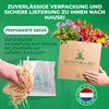 Phlox Stauden Winterhart - Phlox Paniculata Kollektion - 10 Produktbild-Vorschau 3