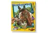 Noris Spiele Malen nach Zahlen - Pferdeportrait; 609240381 Produktbild-Vorschau 9