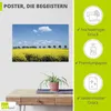 ARTland Poster Rapsfeld und Bäume Größe: 60x40 cm Produktbild-Vorschau 2