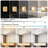 ZMH LED plafoniera soffitto soggiorno lampada dimmerabile Anteprima dell’immagine prodotto 3